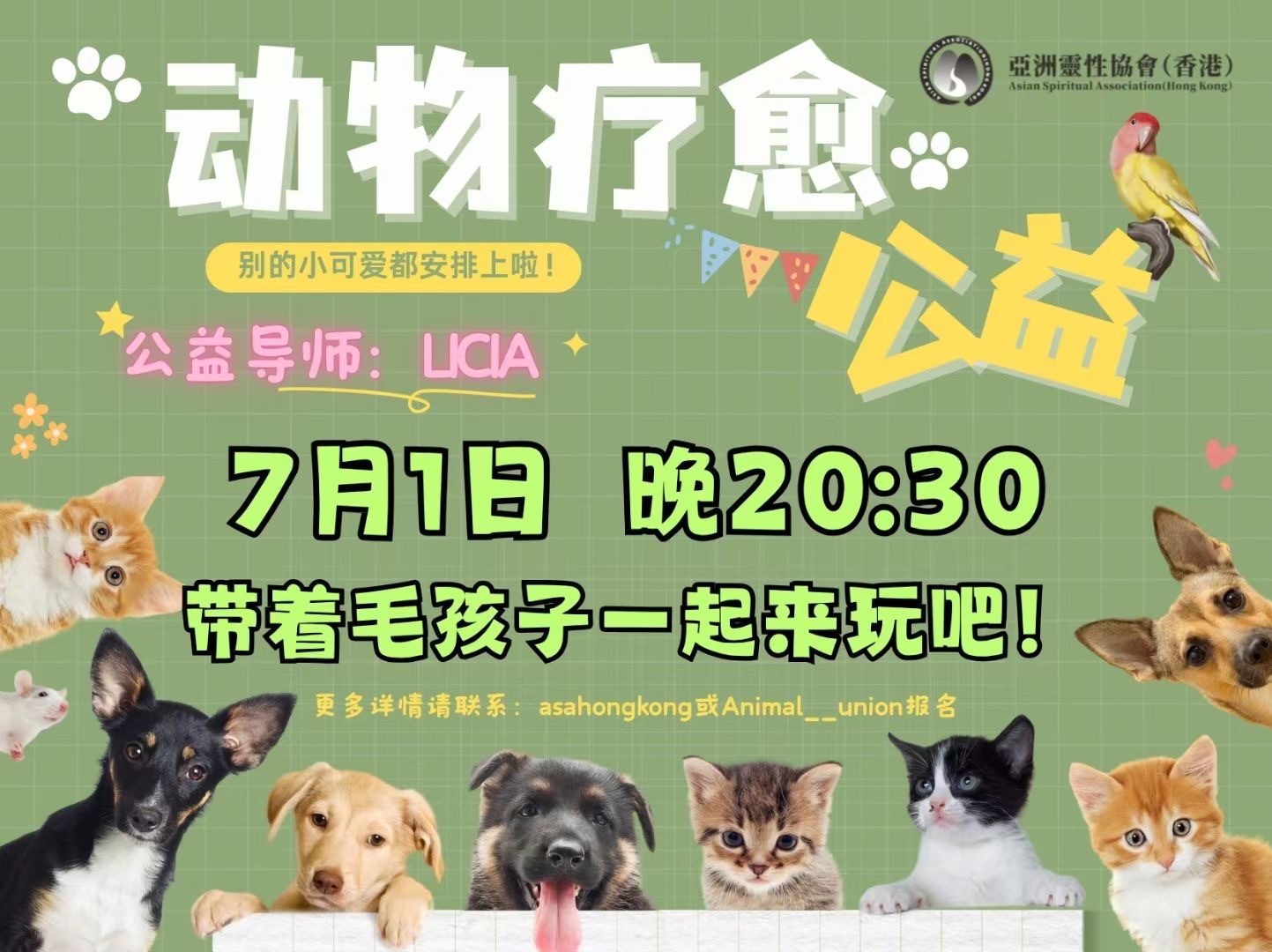 动物灵气公益