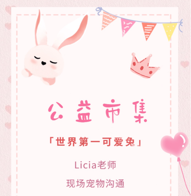 公益市集丨Licia老师线下宠物沟通