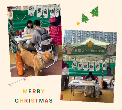香港线下丨圣诞人宠物市集，我们被毛孩子感动