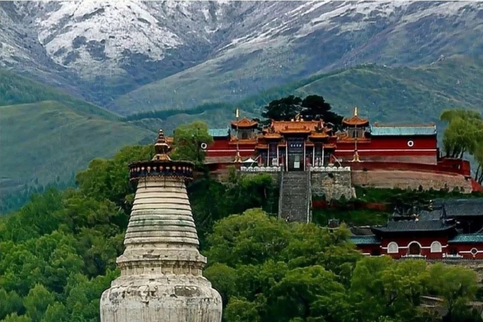 微信截图_20250206000856.png