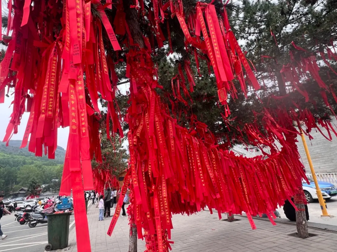 微信截图_20250223233027.png