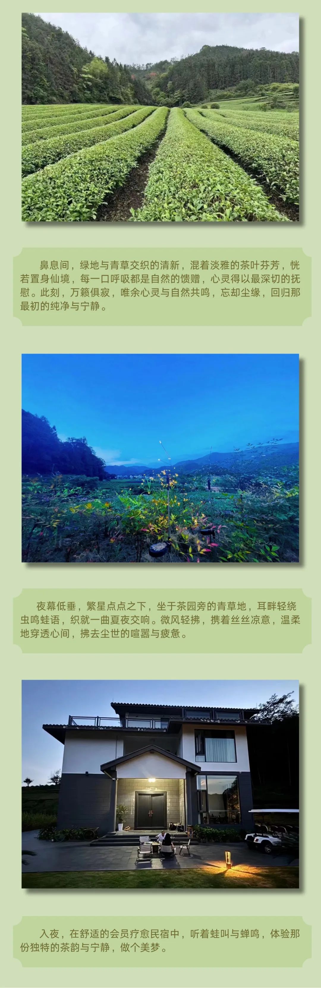 640.jpg